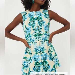 TUCKERNUCK Waters Edge Hydrangea Rhoda Tunic Top Blue Size 4 NEW